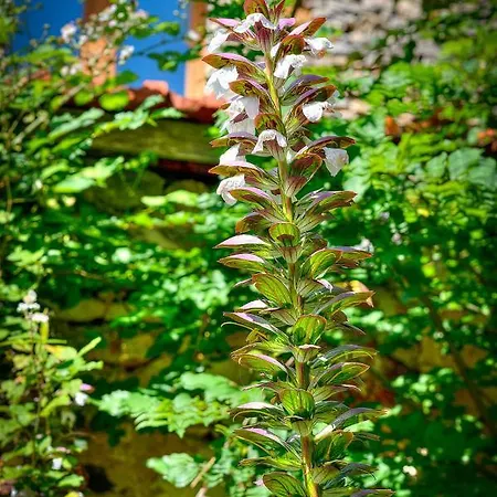 Сasa de vacaciones De Ponsillou *