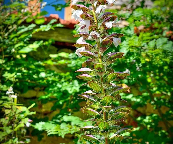 Hébergement de vacances De Ponsillou *