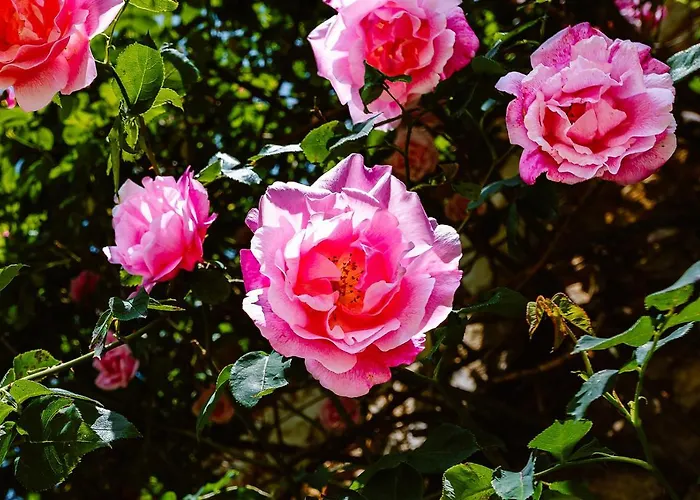 Casa vacanze De Ponsillou